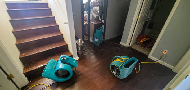 Best Water damage restoration experts  in Berino, NM